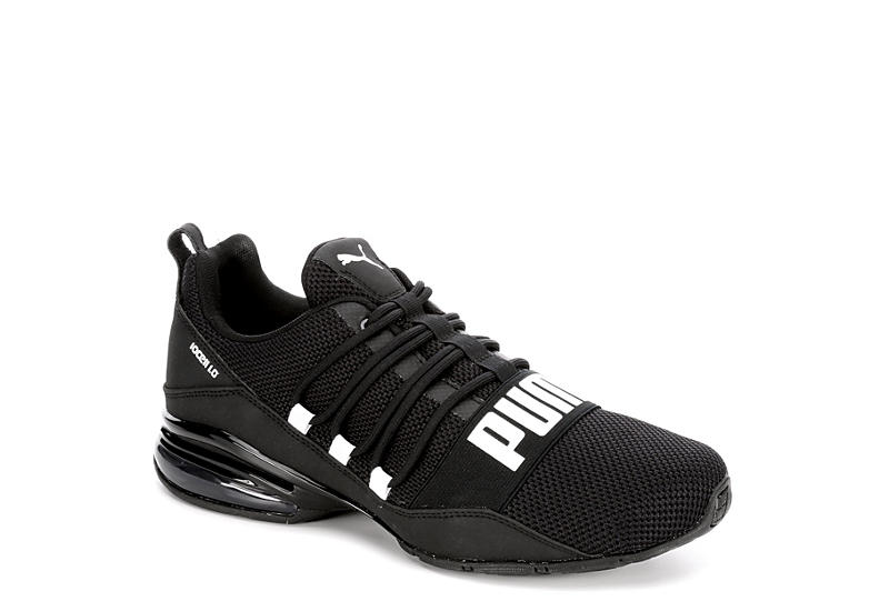 puma cell regulate puma cell regulate