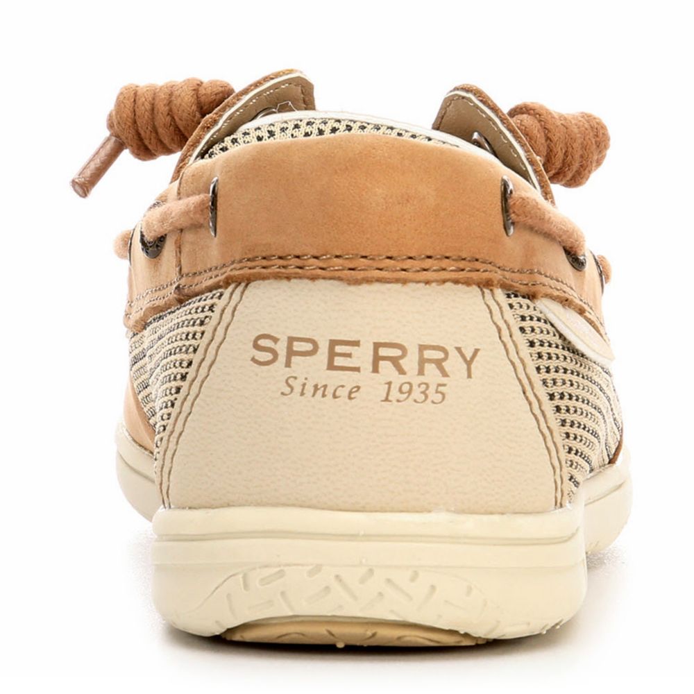 sperry shoresider