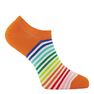 Image of Happy Socks Low Mini Stripe Damen Socken 36-40 bei OchsnerShoes.ch