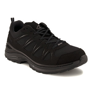 Lowa Innox Evo II GoreTex Herren Outdoorschuh Schwarz, 46
